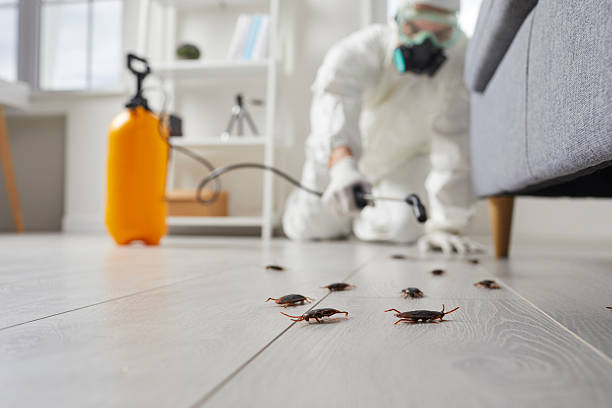 Post-Treatment Bed Bug Interceptor Monitoring in Red Bank