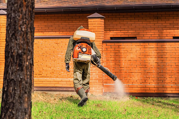 Bed Bug Clearance Verification and Documentation in Red Bank
